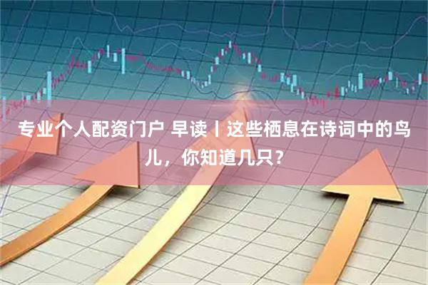 专业个人配资门户 早读丨这些栖息在诗词中的鸟儿，你知道几只？