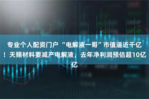 专业个人配资门户 “电解液一哥”市值逼近千亿！天赐材料要减产电解液，去年净利润预估超10亿